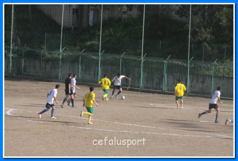 130406 delfini 066_tn.jpg